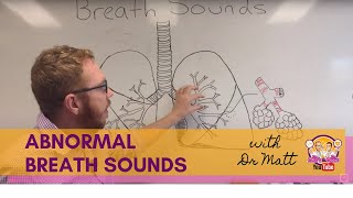 Abnormal Breath Sounds  Respiratory System [upl. by Eserrehs4]