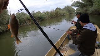 Pescuială la biban cu Andrei și tatăl lui în Delta Dunării 🐟🎣 [upl. by Macmillan]