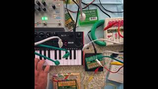 Synth a Sette amp Akai MPK Play Koto Ambient Jam [upl. by Ayiotal739]