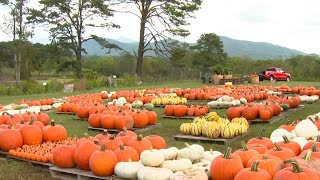 Layman Family Farms Fall Festival kicks off this weekend [upl. by Rumney]