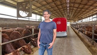 Lely Vector  Ingrassare i tori con lalimentazione automatica  IT [upl. by Harrison]