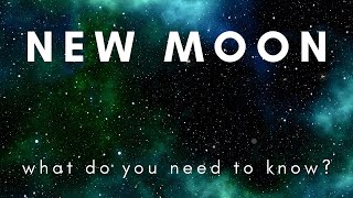 Aquarius New Moon🌙♒PickACard Tarot Reading  What Do You Need to Know Right Now  February 2024 [upl. by Akers]