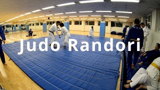 Judo Randori Class [upl. by Neron]