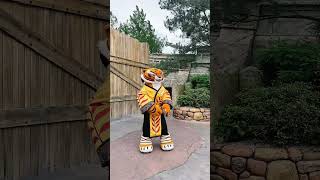 Tigress Kung Fu Panda Character Photo Meet and Greet Universal Islands of Adventure themeparkmaddy [upl. by Ephrem]