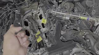 Kia StingerG70 33t oil pressure switch replacement [upl. by Enitnelav866]