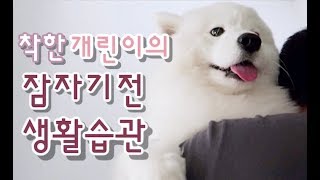 ENG Sub 2층 방에서 자는걸 귀찮아하는 개린이 업고가기 [upl. by Boj]