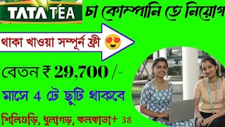 মাসে 29000 টাকা  প্যাকিং কাজ  Tata tea job vacancy 2024  High Salary job kolkata [upl. by Walling348]