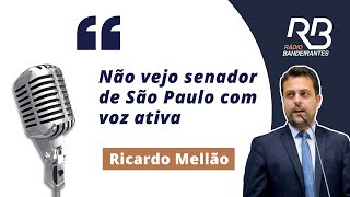 Ricardo Mellão quotNão vejo senador de SP com voz ativaquot [upl. by Aliuqet357]