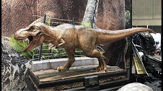 Prime 1 Jurassic Park TRex  Summer Wonderfest 2018 [upl. by Yelahc856]