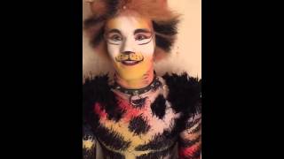 Harry Francis Mungojerrie Quick Fire Questions  Cats the Musical [upl. by Gudrun]