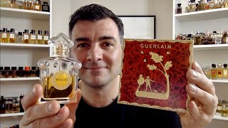 GUERLAIN MITSOUKO edp perfume review [upl. by Ahsem]