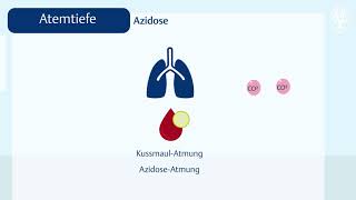 Die Atmung Normwerte und Abweichungen [upl. by Landsman916]