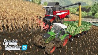 Corn Harvest with Laverda M310 MCS  Farming Simulator 22 [upl. by Ahseenal]