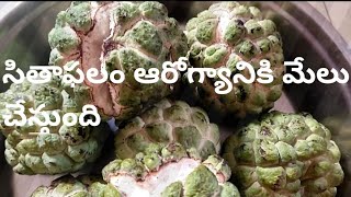 సీతాఫలం ఆరోగ్య ప్రయోజనాలు తెలుగులో  Sitafal Health benefits in Telugu custard apple [upl. by Uriisa43]