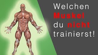 RUDERGERÄT TRAINING Dieser Muskel wird NICHT trainiert… OMG [upl. by Lehctim945]