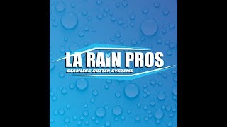 Locals Love Us LA Rain Pros Interview [upl. by Aeirdna210]