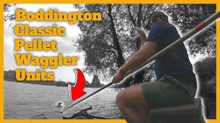 Pellet Waggler Units  Live Match Fishing  Boddington Reservoir [upl. by Gass44]