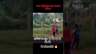 MP side satna aur shahdol ki tarf hathiyon ka jhundKrishPandey22 viralvideo 🙏 [upl. by Laehctim]