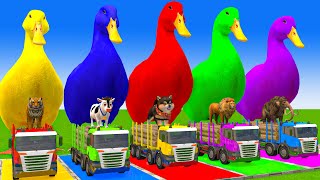 5 Giant Duck CartoonCowElephantTigerLionGorilla Paint Wild Animals Crossing Fountain Animation [upl. by Demodena]