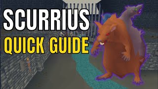 Scurrius Guide  Runescapes New Rat Boss OSRS [upl. by Otilesoj559]