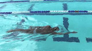 Backstroke side kicking progression [upl. by Farman]