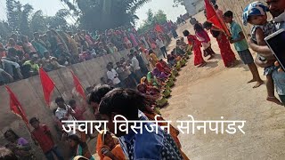 Jot Jawara Visarjan cg video song [upl. by Oram]