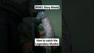 How to catch the Legendary Muskie Fish 🎣 Red Dead Redemption 2 [upl. by Assilym183]