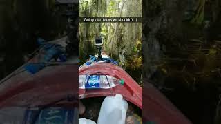 🐊 Kayaking into a Alligators Den 😱🛶 kayaking alligator wildlife camping vacation YouTubeshorts [upl. by Inittirb]