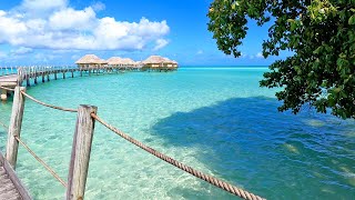 Bungalow Bliss 3 Hours of Overwater Seaside Ambience From Tahiti [upl. by Isaiah]