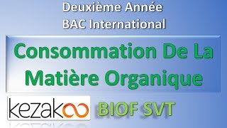 SVT 2 BAC International BIOF  Consommation De La Matière Organique Notions Elementaires [upl. by Rasla]