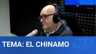 Tema El Chinamo [upl. by Uyr]