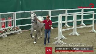 74 Hengst v Quidam de Revel  Carthago  Khalkis xx [upl. by Zoeller]