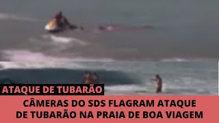 Ataque Real De Tubarão Na Praia De Boa Viagem Recife [upl. by Crane]