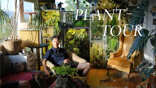 Inside JiaHao’s Plantfilled Home  houseplant collection [upl. by Hardunn]