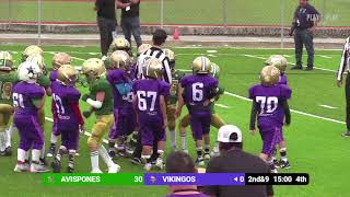 Jornada 6  Avispones vs Vikingos  Hormiguitas  MFL [upl. by Plante]