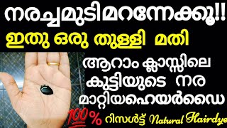 നരച്ചമുടികറുപ്പിക്കാൻഇതൊരുതുള്ളിമതി മുടികാട്പോലെവളരുംNatural hair dyehome remedy for grayhair [upl. by Airamahs]