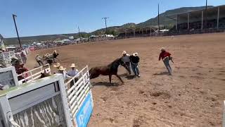 Round Valley Rodeo SpringervilleAz2024 [upl. by Ehsom966]