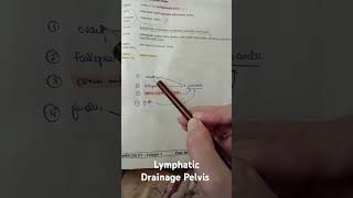 LYMPHATIC DRAINAGE MRCOG1 ANATOMY [upl. by Spanjian]