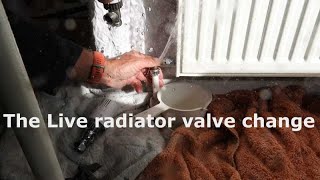 Thermostatic Radiator Valves TRVS How They Work [upl. by Silloh]