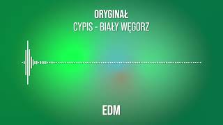 Cypis  Biały Węgorz EDM [upl. by Joannes]