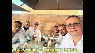 Gipsy Culy  Nakamav mamo 2024 🎙🎶🎹 [upl. by Gerfen408]