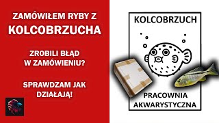 KOLCOBRZUCH  Sprawdzam jak działają  Błąd w zamówieniu  Moja opinia [upl. by Magnolia]