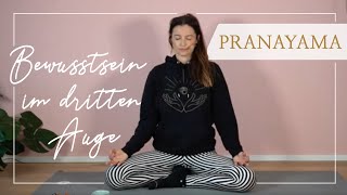 Pranayama – Bewusstsein im 3 Auge 30minütige Yoga Praxis mit Wanda Badwal [upl. by Notnirb661]