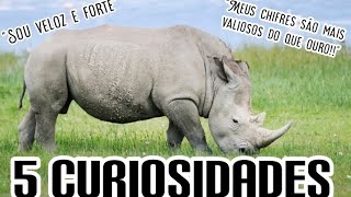 Do que é feito os chifres do rinoceronte5 curiosidades sobre rinocerontesCuriosa Mente  animal [upl. by Roddie]