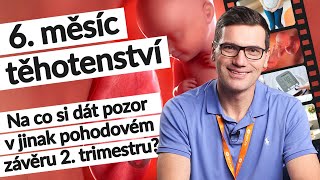 6 měsíc těhotenství 23–⁠26 tt  Těhotenství týden po týdnu tehotenstvi [upl. by Ok]