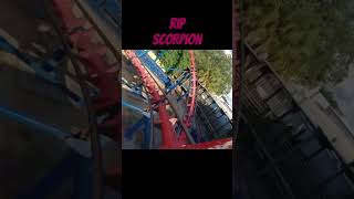 Scorpion at Busch Gardens Tampa is no longer with us… rollercoaster buschgardenstampa themepark [upl. by Stent]