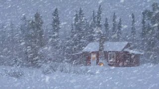 Schneesturmgeräusche Helfen Ihnen Tief Zu Schlafen  Winterluft Und Starker Schneefall [upl. by Ettenil]