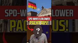 ExBundestagsAbgeordneter packt aus [upl. by Rehotsirk313]