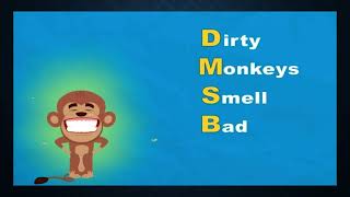 Dirty Monkeys Smell Bad ll long division ll grade 3 [upl. by Nhguavoj]