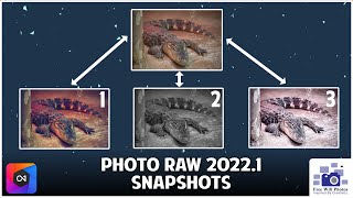 Snapshots Explained In ON1 Photo Raw 20221  Are They What You Need [upl. by Audra]